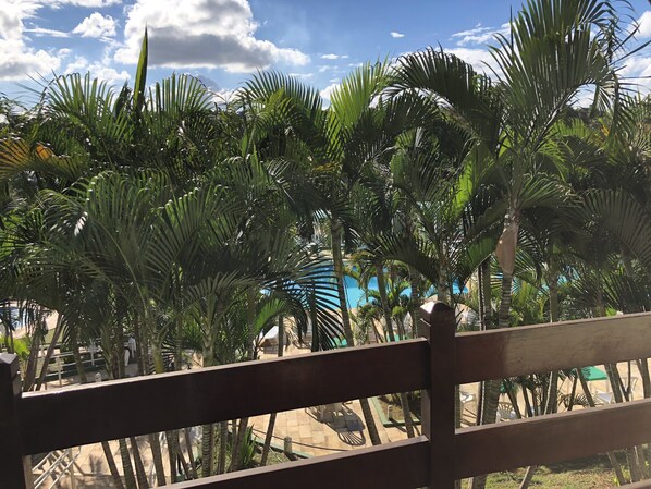 Minibar, escritorio, cortinas blackout y cunas gratuitas