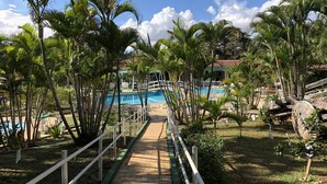 A pathway leading to a pool surrounded by palm trees and a white fence. - Hotel Gran Minas (Vespasiano)