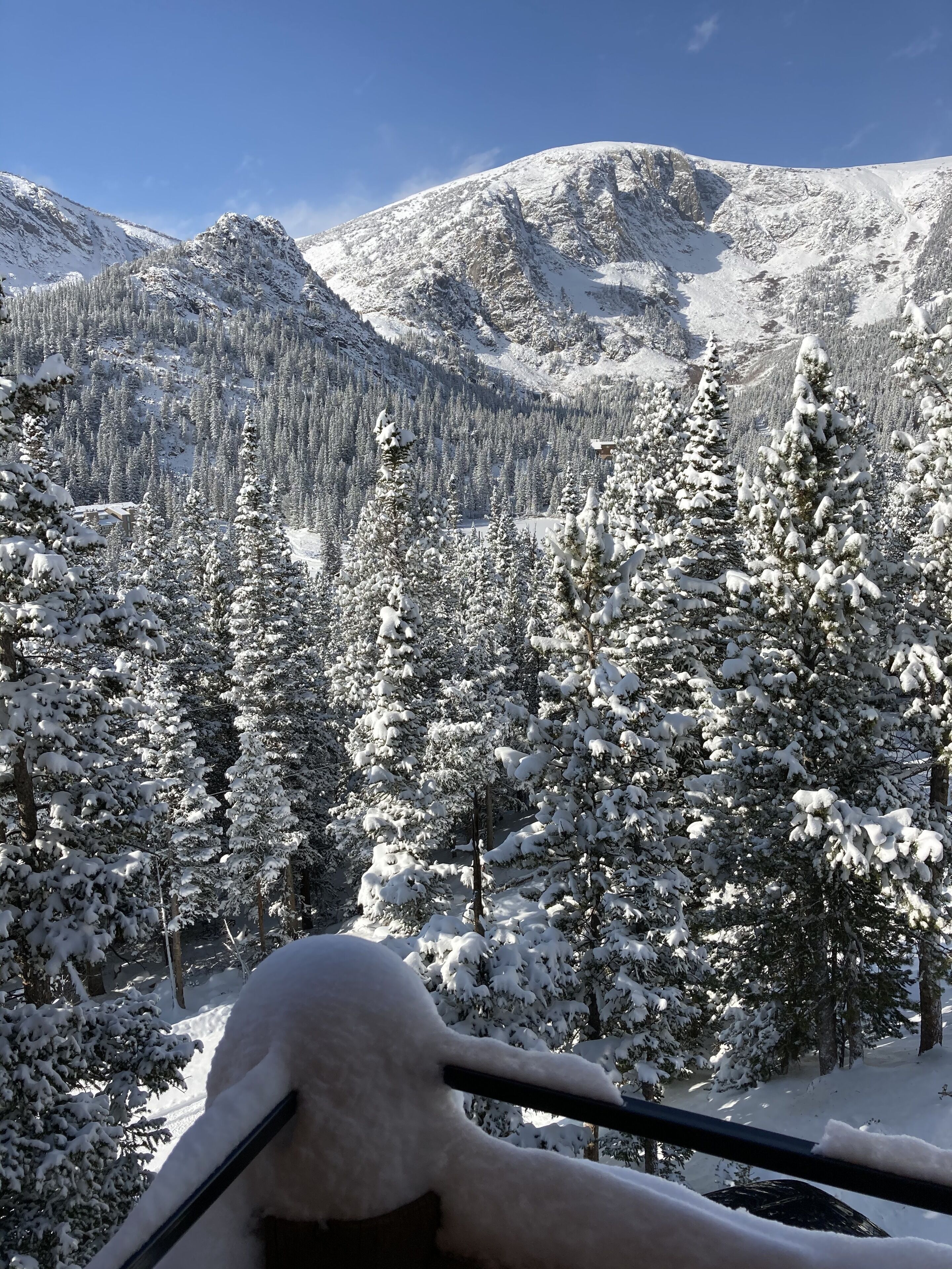 A snowy mountain landscape with dense evergreen forests and a clear sky.