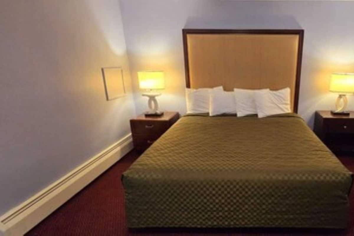 Habitación, 1 cama King size, para no fumadores | Tabla de planchar con plancha, wifi gratis y ropa de cama