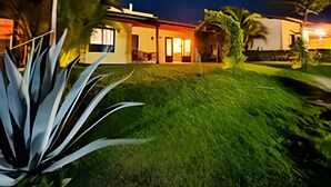 A modern house with a well-maintained lawn and a large agave plant in the foreground.