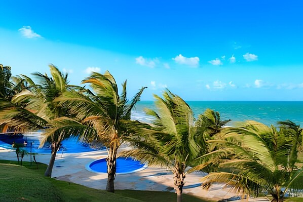 A tropical resort with palm trees, a swimming pool, and a view of the ocean.