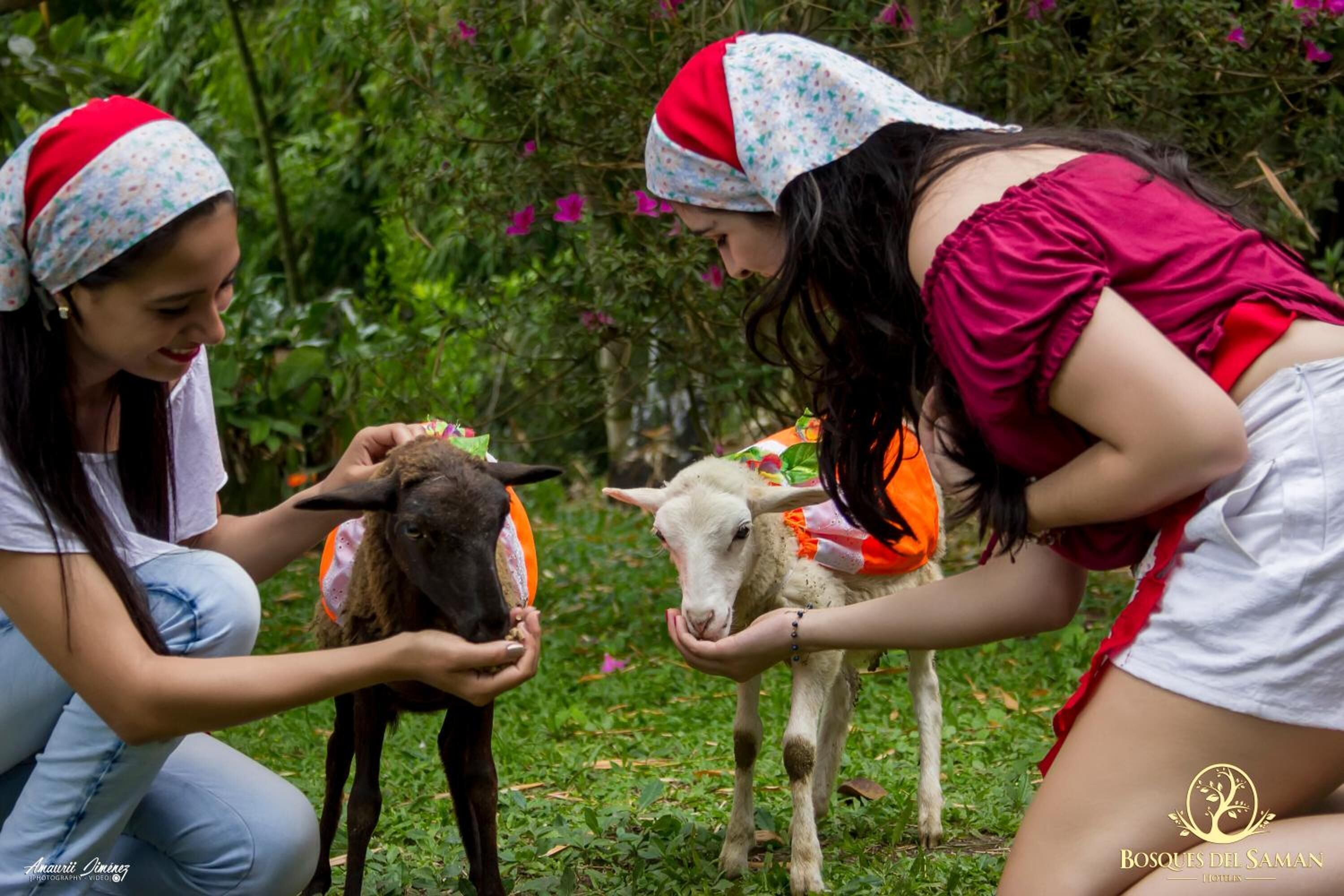 Khuôn viên nơi lưu trú