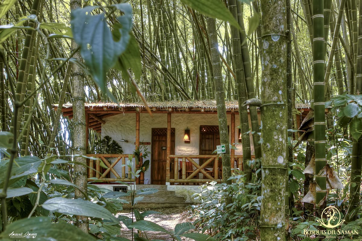 Une forêt de bambous abritant un bâtiment rustique doté d’un porche en bois et d’un toit de chaume.