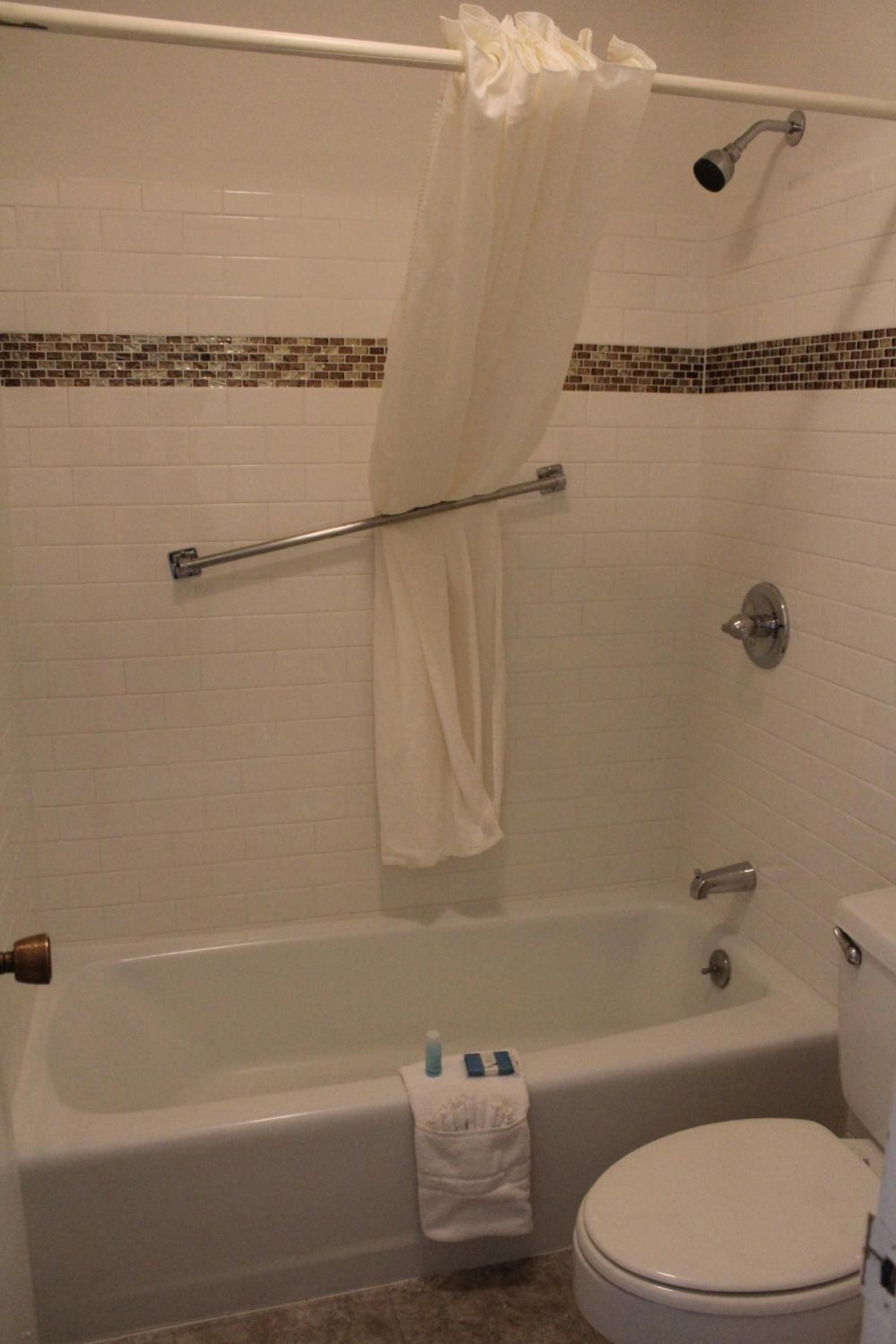 A bathroom with a bathtub, toilet, and a shower curtain.