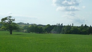 A vast green field with a single tree and a distant building. - The Coach House (Stafford)