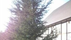 A building with large windows and a grassy area with trees. - Petit Hotel Gracey Tomamu (Shimukappu)