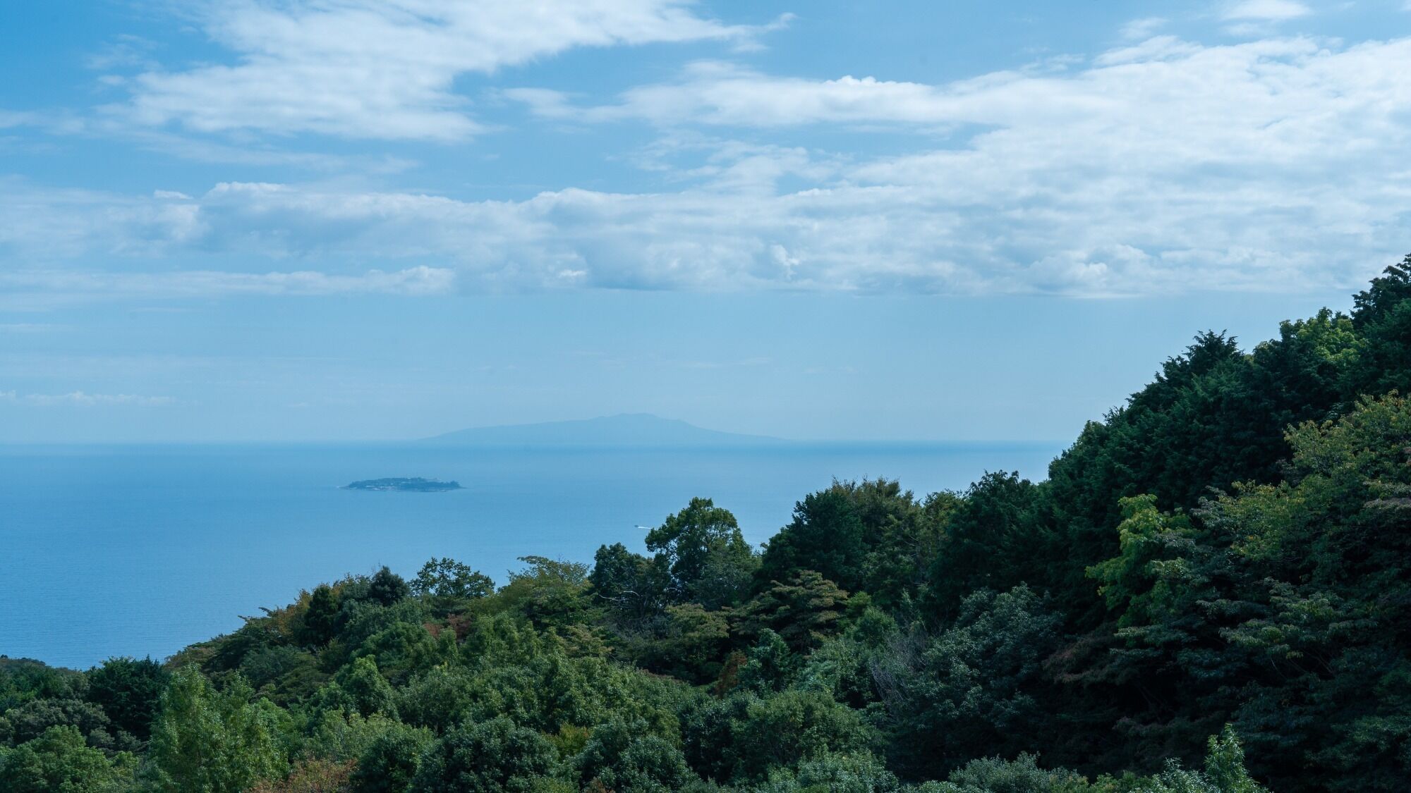Un paisaje costero con abundante vegetación, una isla distante y cielo despejado.