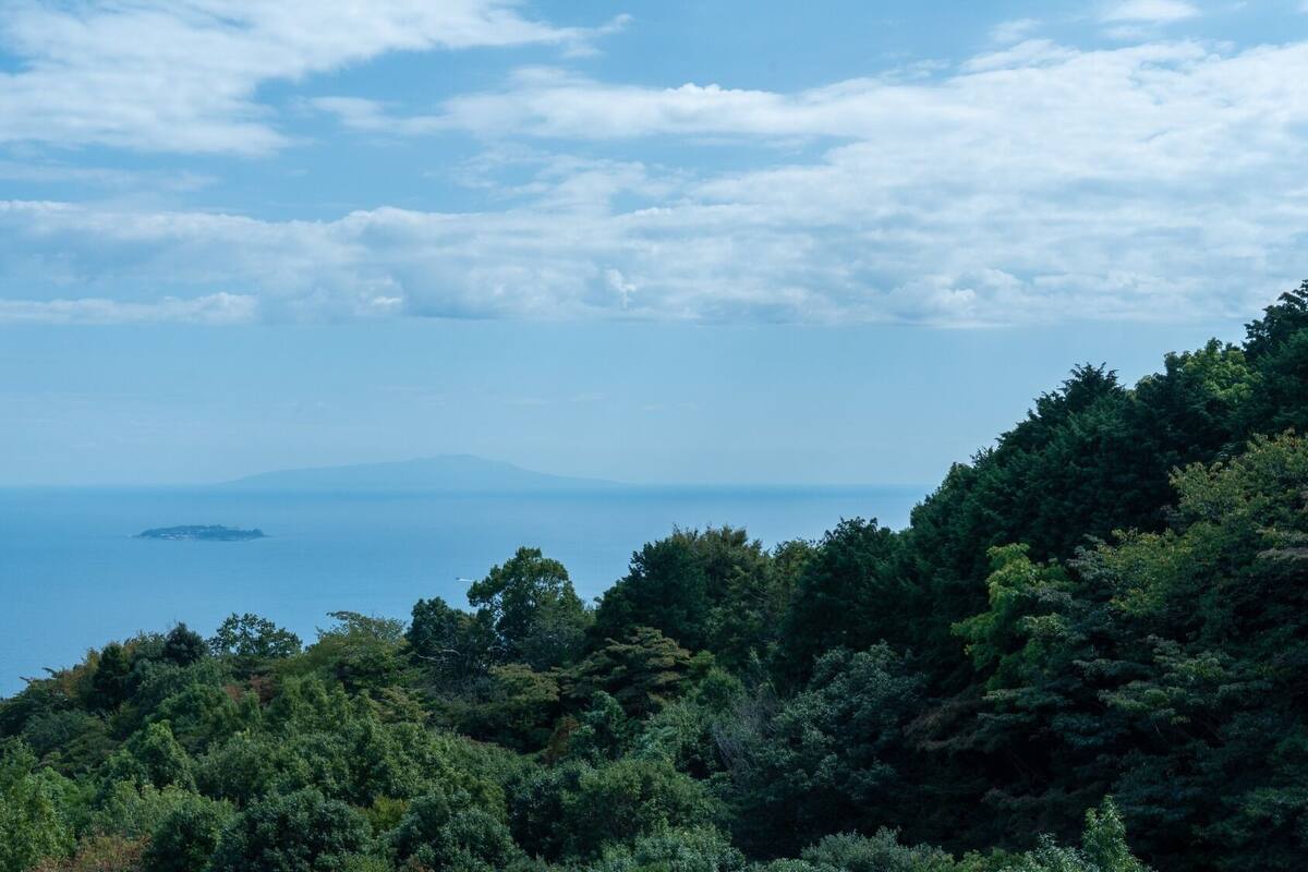 A coastal landscape with dense greenery, a distant island, and a clear sky.