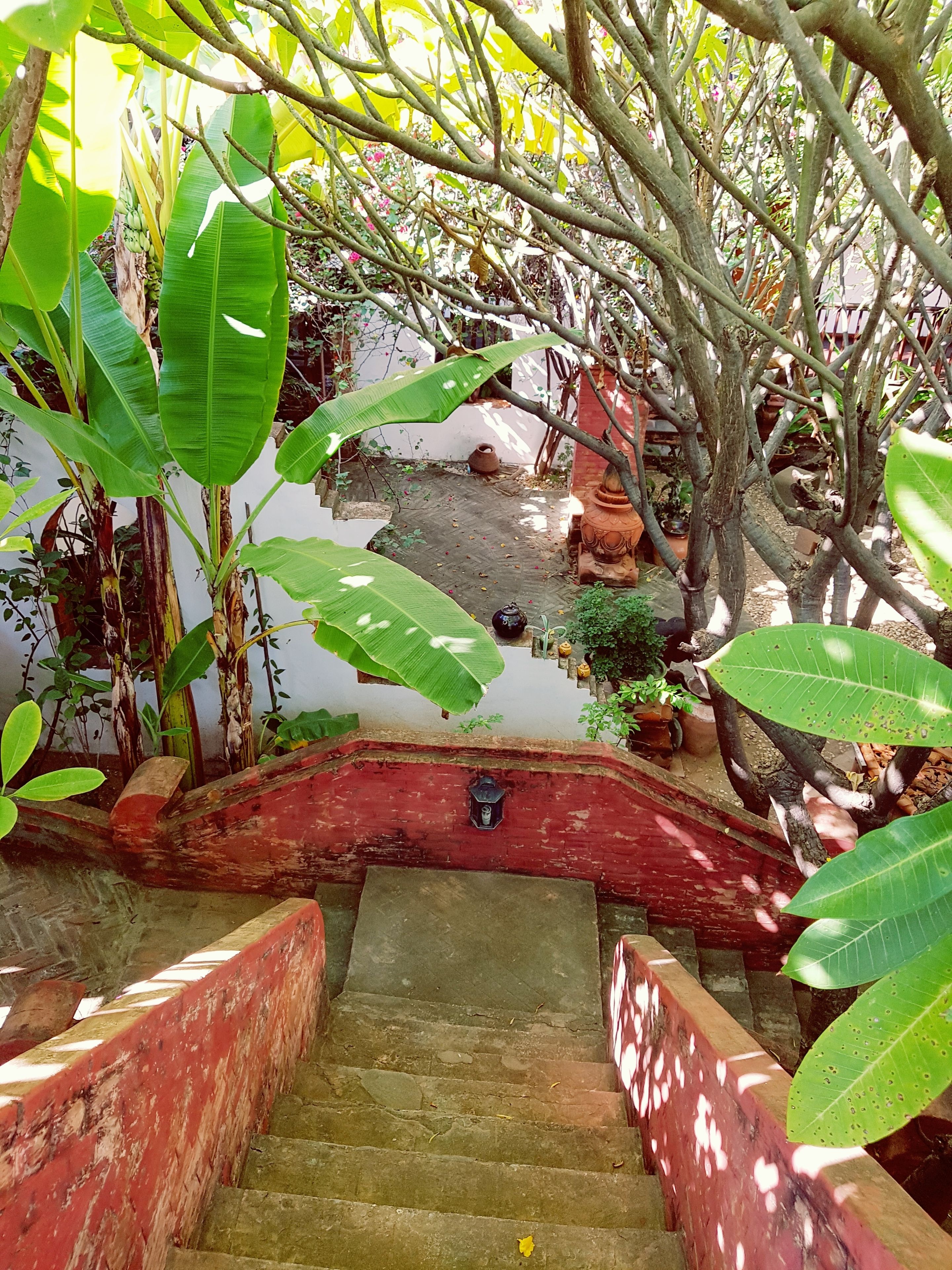 A staircase with a red handrail leading to a courtyard surrounded by lush greenery and potted plants.