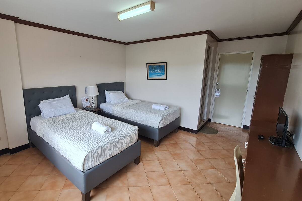 Habitación de hotel con dos camas, un escritorio, una silla, un televisor y un cuadro en la pared.