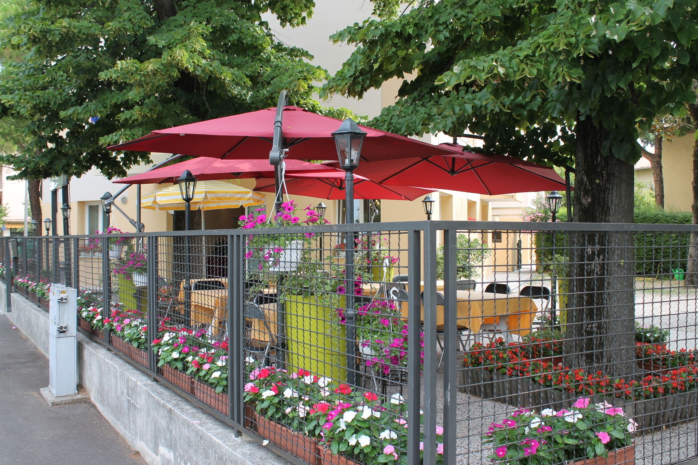 Vista desde la habitación