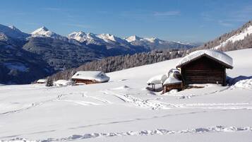 Sneeuw- en skisporten