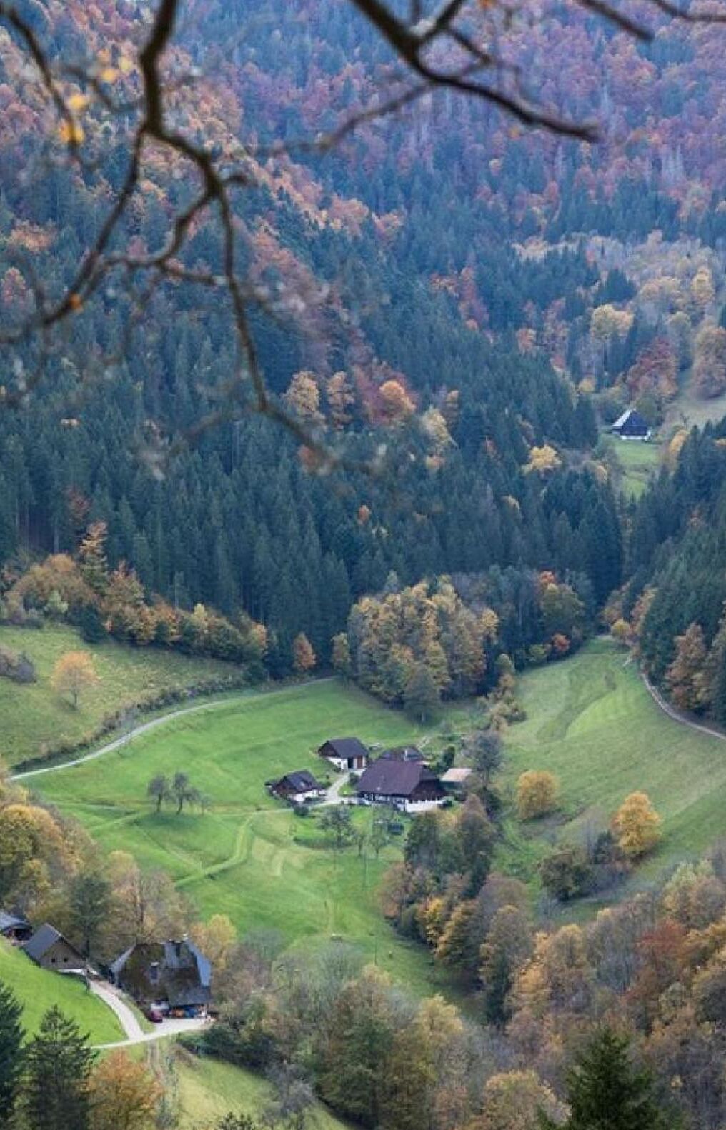 A rural landscape with a cluster of houses surrounded by dense forests and rolling hills.