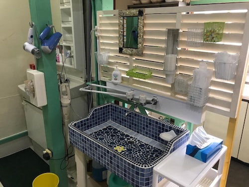 客室の設備とサービス