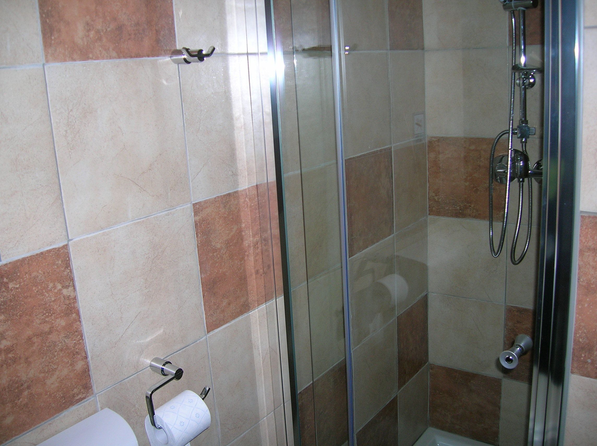A bathroom with a glass shower enclosure, a toilet, and a towel rack.
