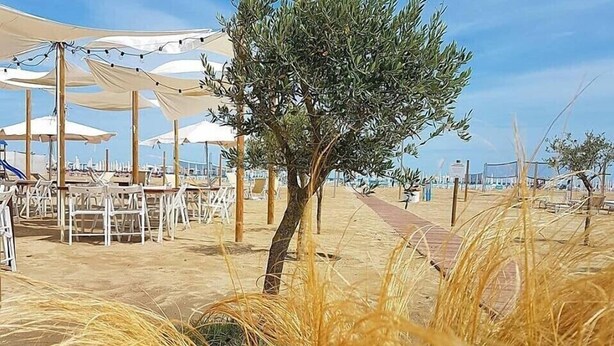 A beachside restaurant with outdoor seating, umbrellas, and a pathway. - Alba Hotel (Ravenna)