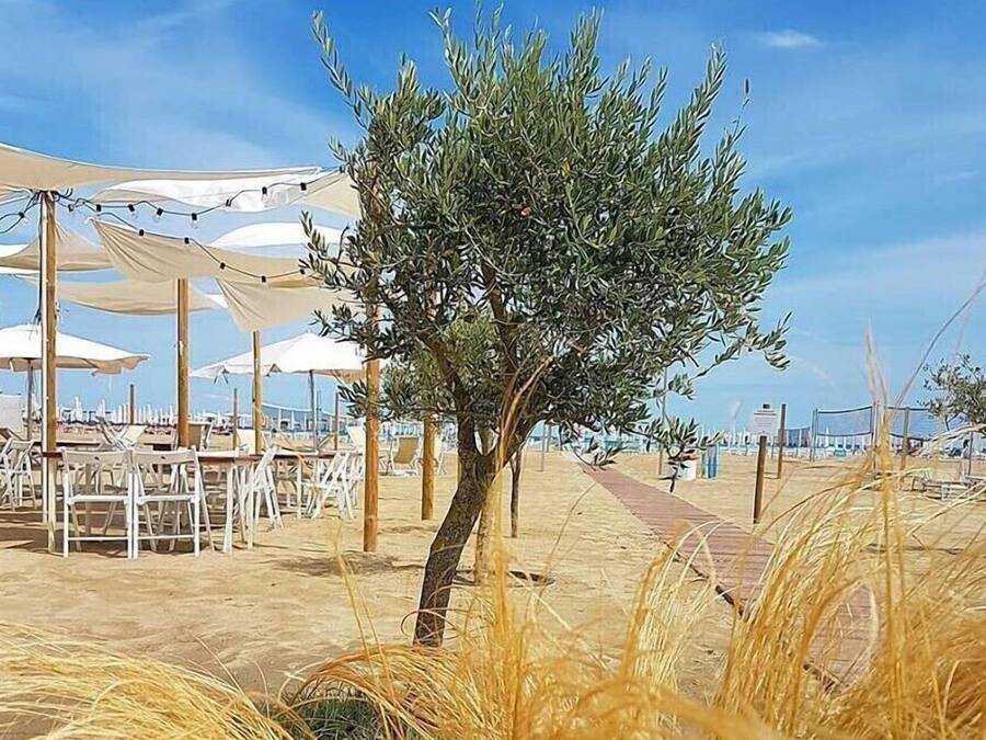 Beach bar