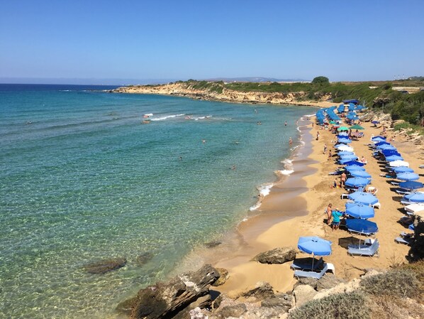 Beach nearby, beach shuttle, snorkeling, 8 beach bars