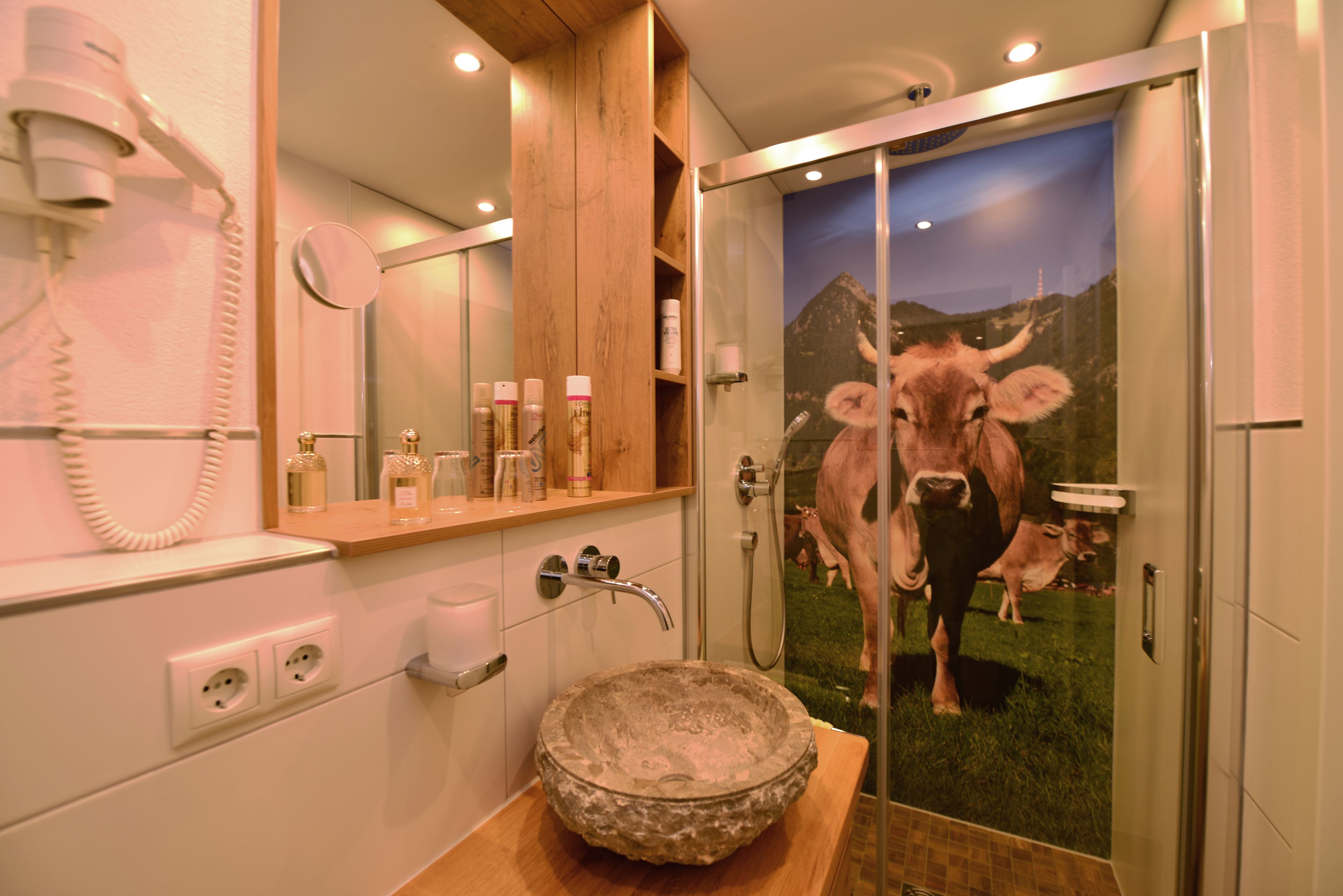 Doppelzimmer, Balkon | Dusche im Bad