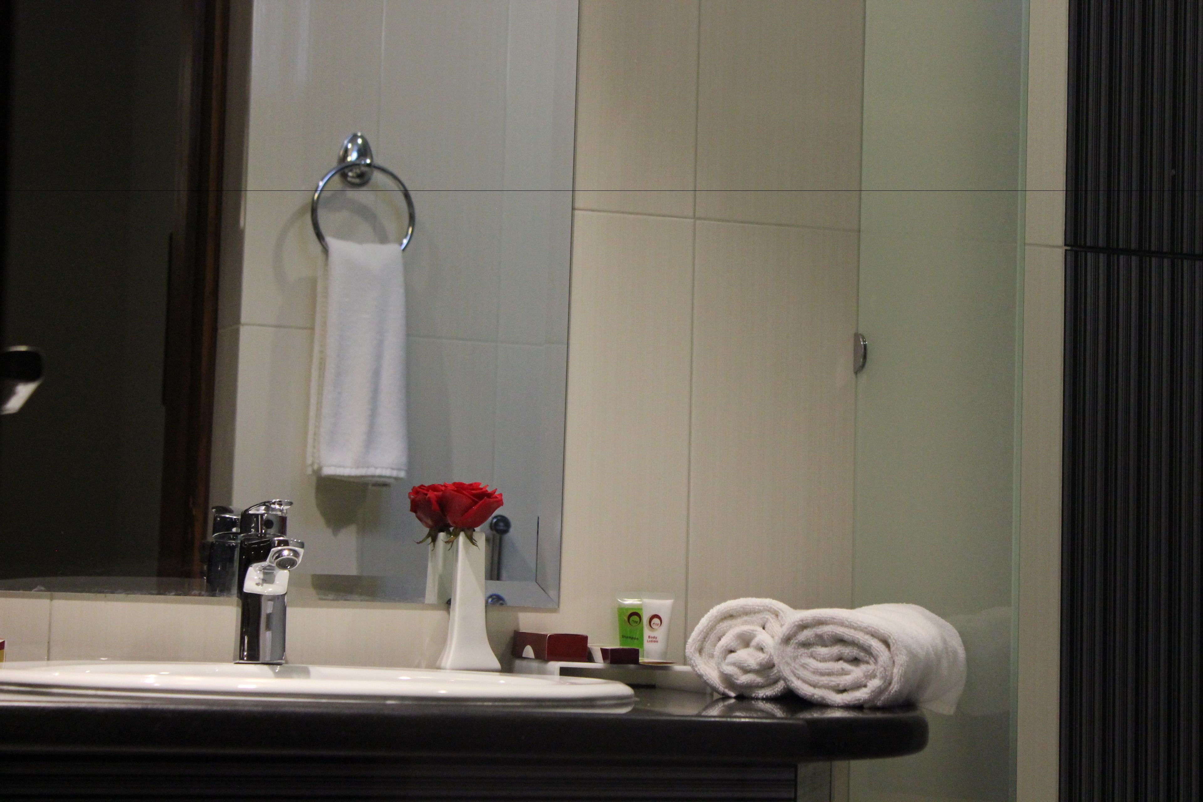 deluxe double room | bathroom | shower, free toiletries, hair dryer, slippers