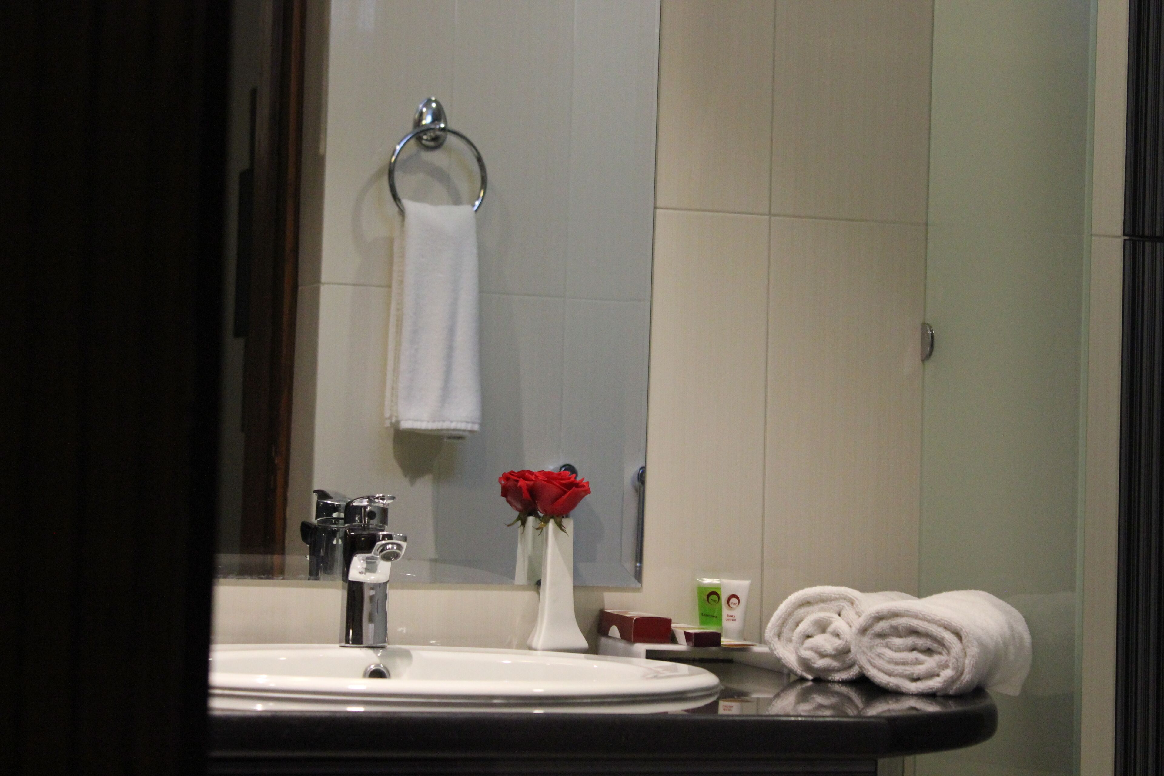 shower, free toiletries, hair dryer, slippers