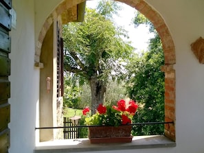 Exterior detail - Agriturismo Podere Caggiolo (Marciano della Chiana)