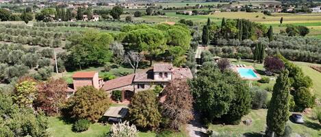 A villa with a swimming pool, surrounded by lush greenery and olive groves, with a view of distant mountains.