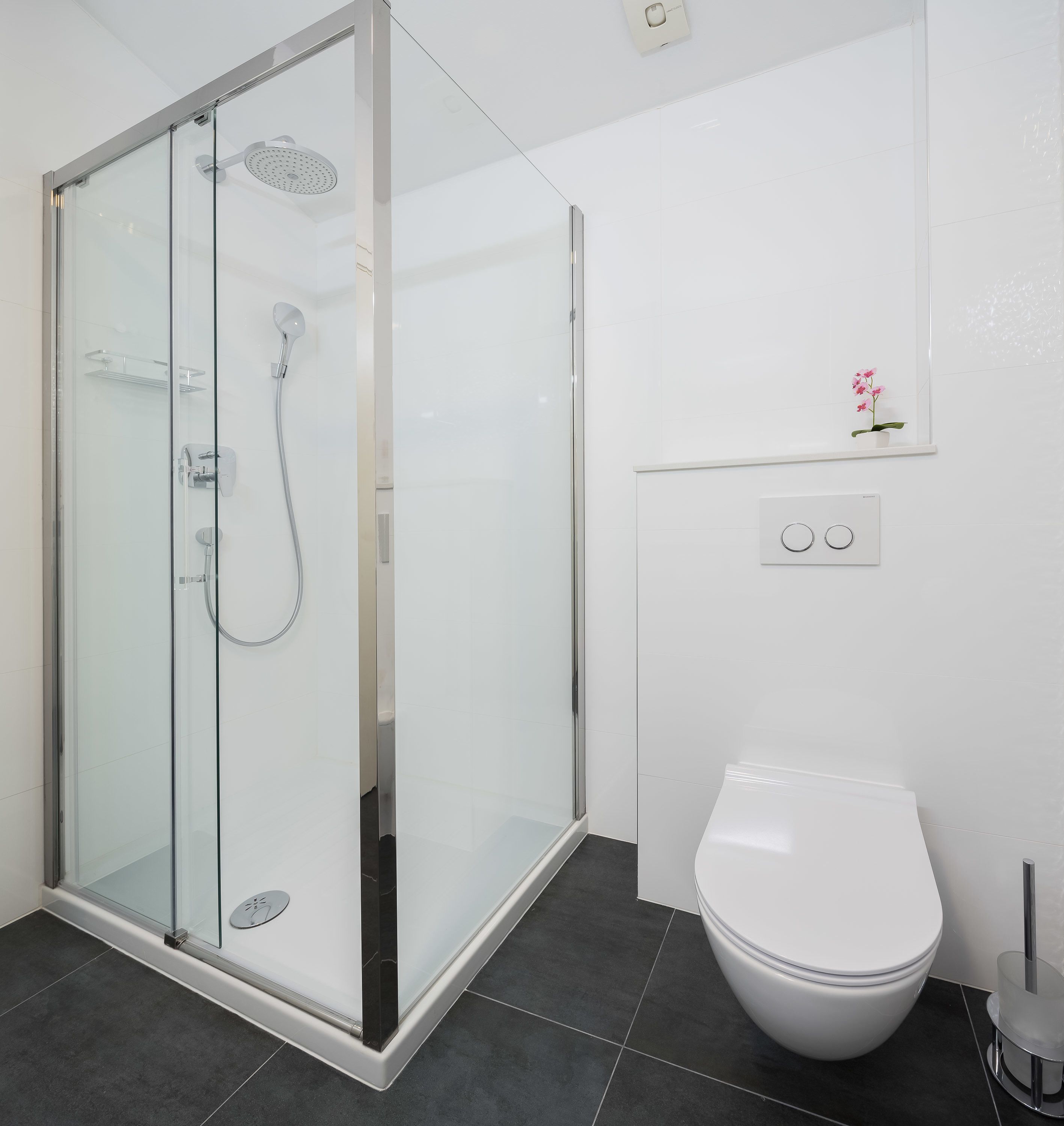 A modern bathroom with a glass-enclosed shower, a white toilet, and a small potted plant on the wall.