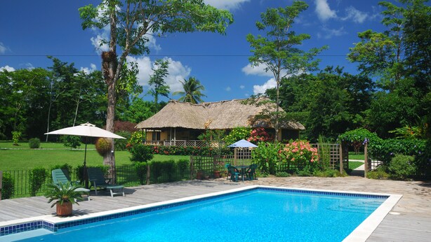 A swimming pool with a wooden deck, surrounded by lush greenery and a thatched-roof structure. - Tanager Rainforest Lodge (Punta Gorda)