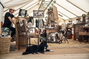 A tent with a person sitting on a chair, a dog lying on the floor, and various items scattered around. - Dreamcatcher Tipi Hotel (Gardiner)