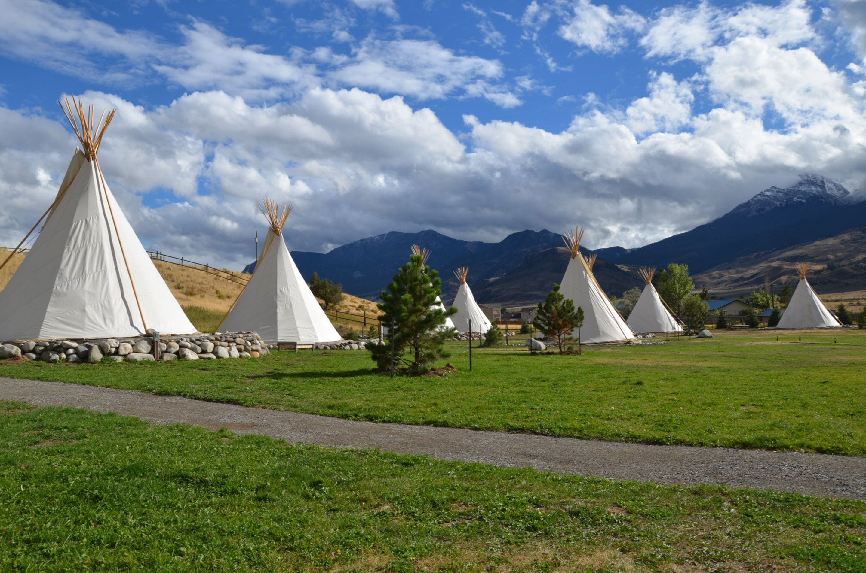 Una hilera de tiendas tipi blancas en un campo cubierto de hierba, con montañas al fondo.