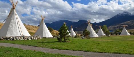 Una hilera de tiendas tipi blancas en un campo cubierto de hierba, con montañas al fondo.