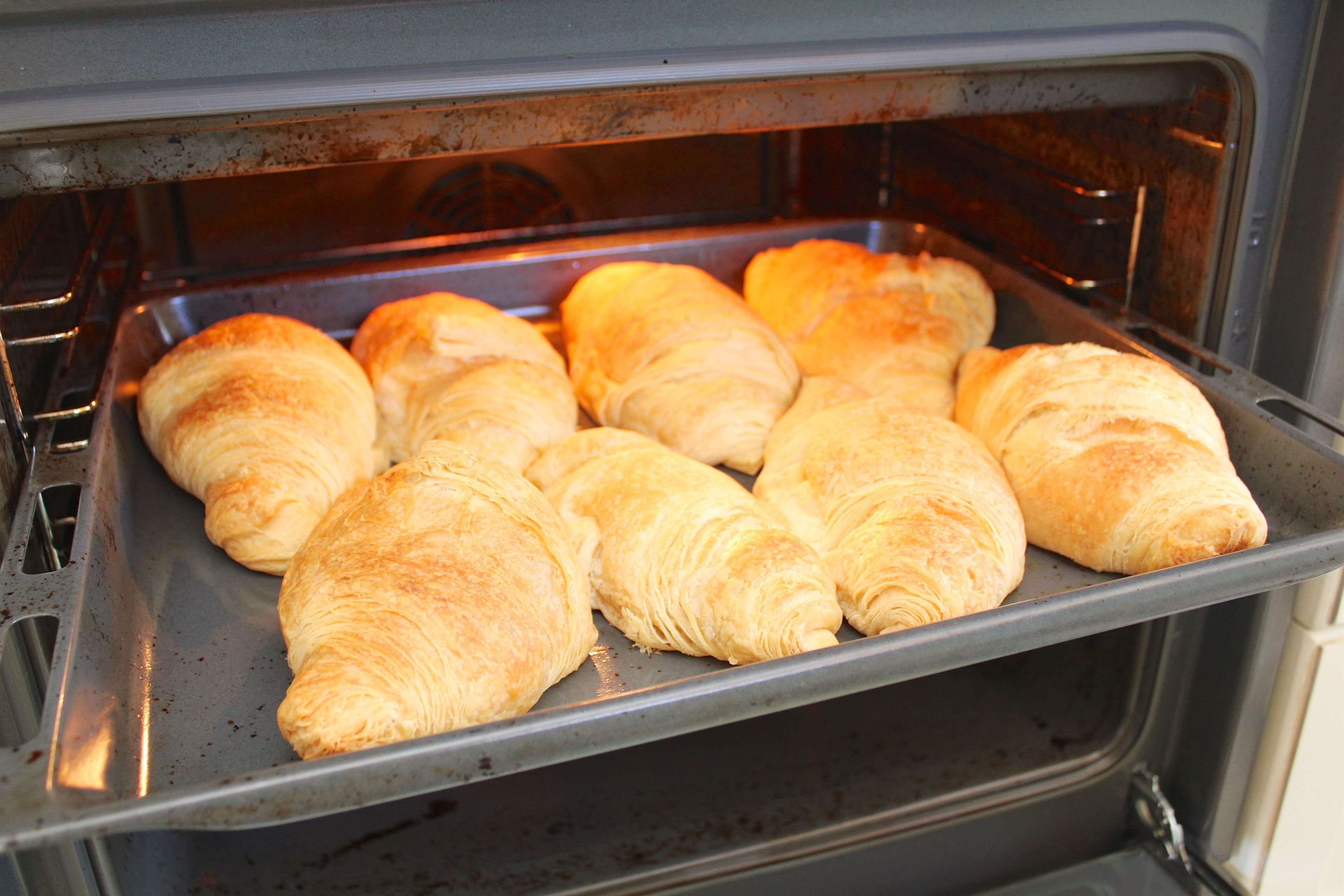 An oven with several croissants inside.