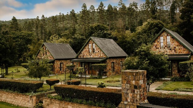 Une rangée de charmantes maisons en pierre aux toits en pente, entourées de jardins bien entretenus et bordées par une forêt.