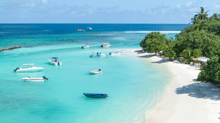 Season Paradise