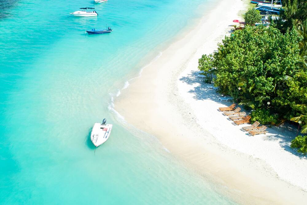 Season Paradise