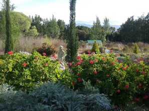Children’s area - Strath Breede House and Cottage (Wolseley)