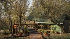 Un chalet rustique doté d’une terrasse en bois, entouré d’arbres et agrémenté de plantes en pot.