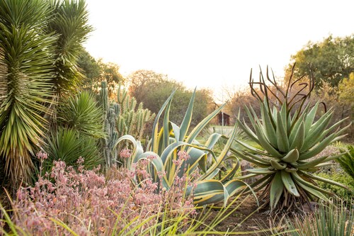 Woodlands Stop Over and Lodge