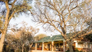 Une maison dotée d’un toit végétalisé, entourée d’arbres et d’une pelouse verdoyante.