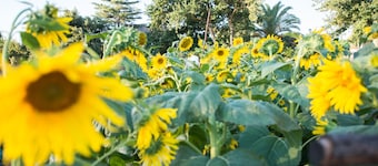 Tulbagh Country Guest House