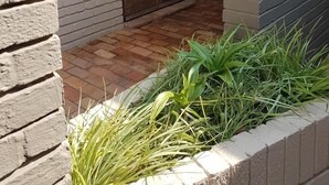 A small window with wooden bars, a white brick wall, and a potted plant beside it.
