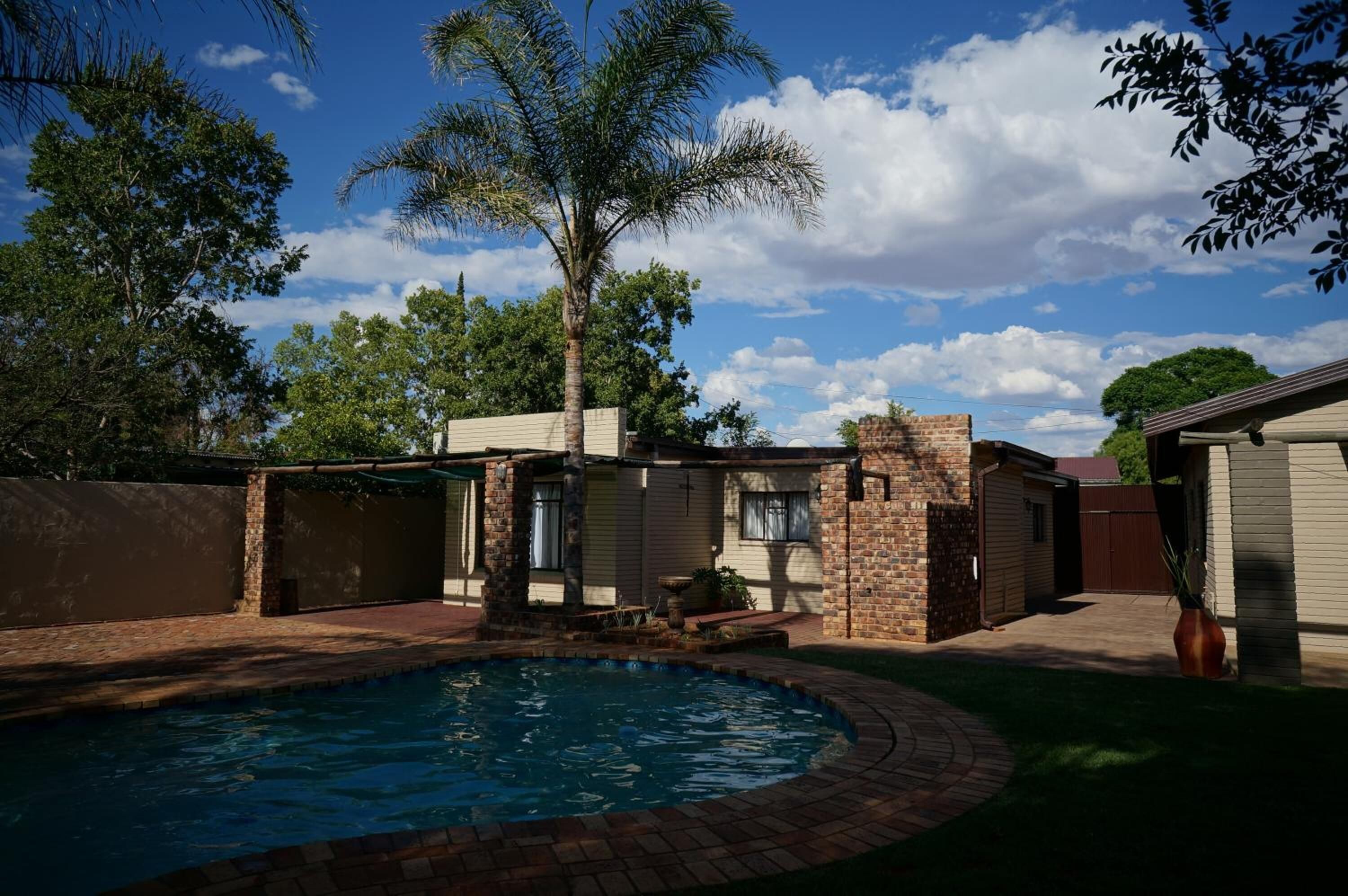 A backyard with a swimming pool, a brick patio, and a palm tree.
