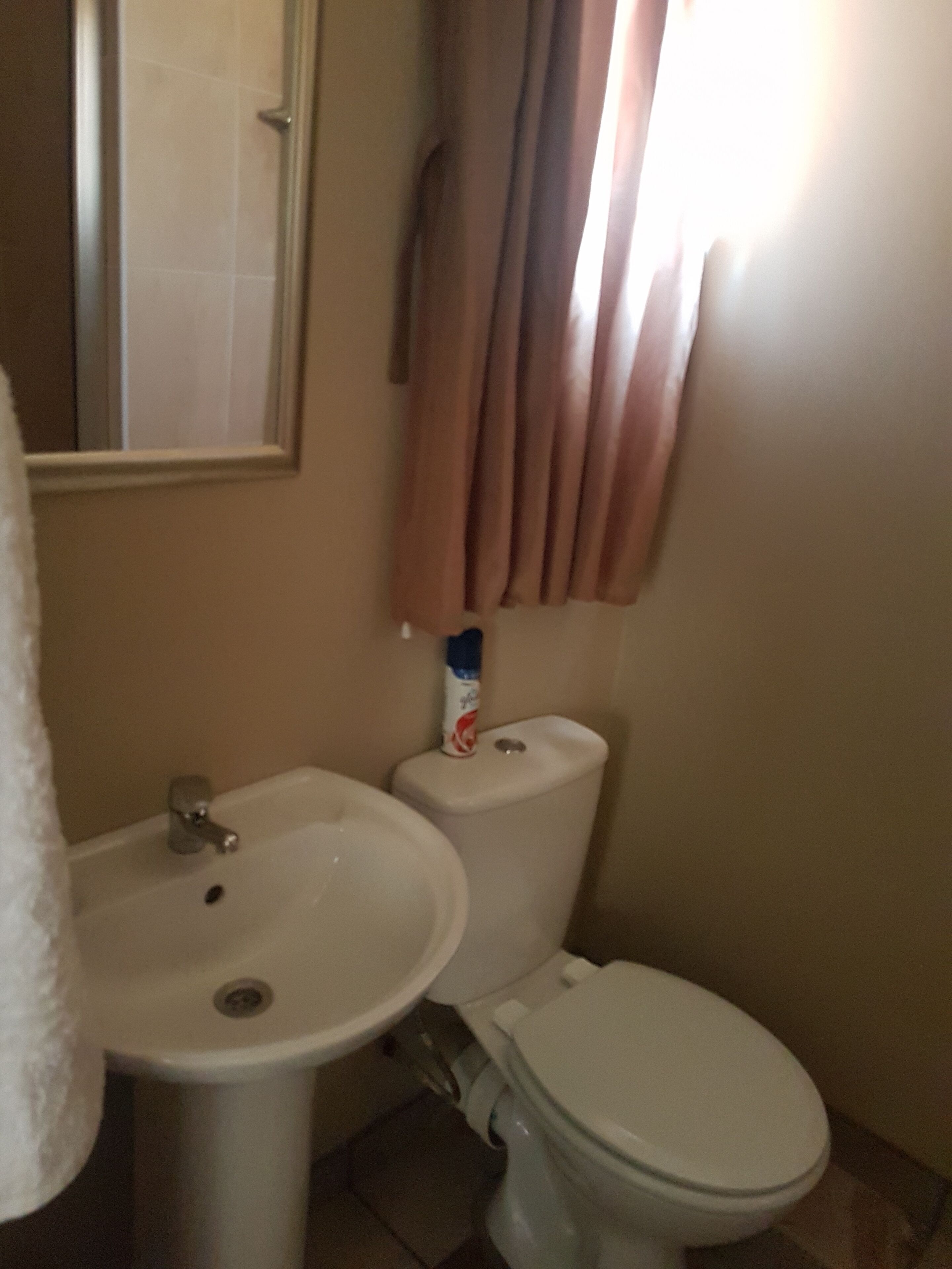 A bathroom with a sink, toilet, and a mirror.