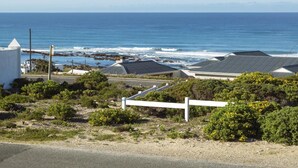 Un área residencial costera con casas, una carretera y vista al océano.