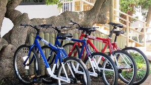 A row of bicycles parked against a tree and a wooden fence. - Plett Beachfront Accommodation (Plettenberg Bay)