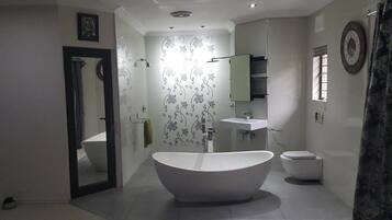 Shower, free toiletries, towels