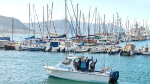 A marina with multiple boats docked, a boat named 'Obsession' in the foreground, and a mountainous landscape in the background. - A Whale of a Time (Cape Town)