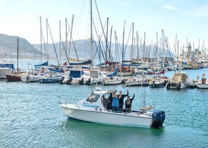 Fishing - A Whale of a Time (Cape Town)